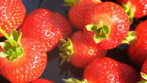 Strawberry closeup. Macro image of fresh strawberries on dark background Stock Footage 124257700