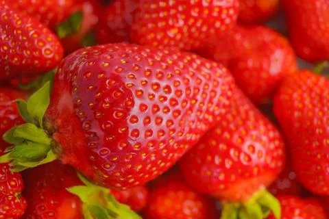 Strawberry closeup. Macro image of fresh strawberries on dark background Stock Photos