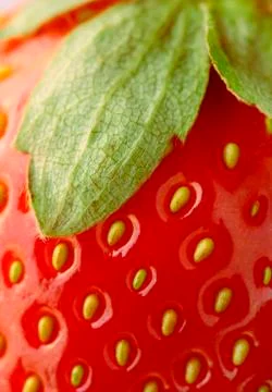 Strawberry closeup Stock Photos