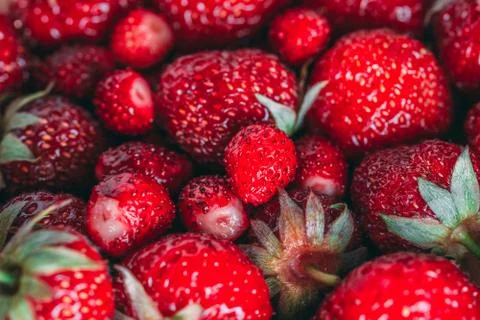 Strawberry closeup texture Stock Photos