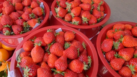 Strawberry collected from the garden. Stock Footage 73585283