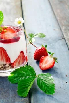 Strawberry cream pudding Stock Photos