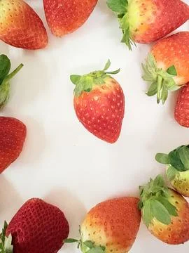 Strawberry Delight Stock Photos