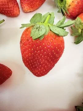 Strawberry Delight Foto stock