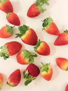 Strawberry Delight Stock Photos