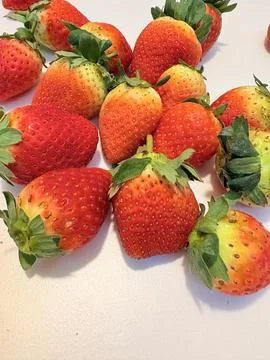 Strawberry Delight Stock Photos