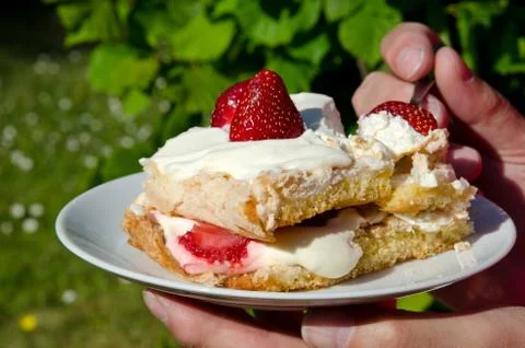 Strawberry dessert Stock Photos