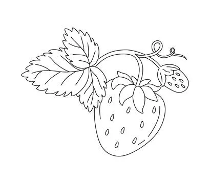Strawberry doodle Vector illustration coloring book for kids Stock Illustration