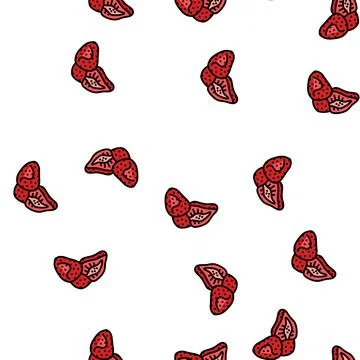 Strawberry dried fruit vector seamless pattern Stock Illustration