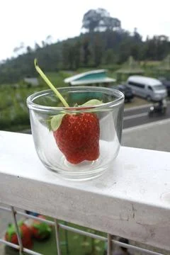 Strawberry in empty glass Stock Photos