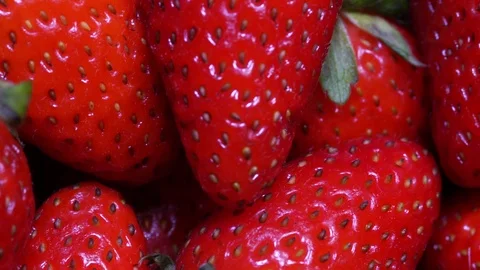 Strawberry In Extreme Close Up Video stock 97293242