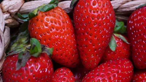 Strawberry In Extreme Close Up Video stock 97293399