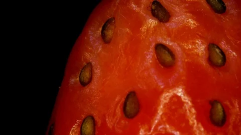 Strawberry In Extreme Close Up Video stock 97294197