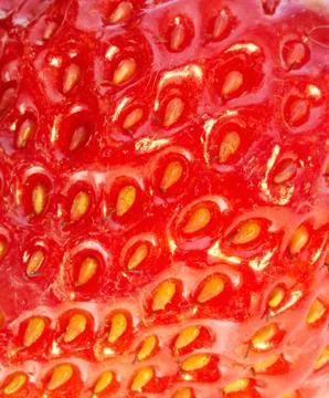 Strawberry extreme close-up Stock Photos