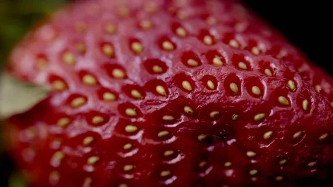Strawberry in extreme close up UHD stock footage. Stock Footage