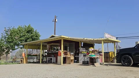 Strawberry Field Growing Patch Rows Vines Berries Workers Merchant Farm USA Video stock 239874410