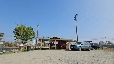 Strawberry Field Growing Patch Rows Vines Berries Workers Merchant Farm USA Video stock 239874650