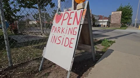 Strawberry Field Growing Patch Rows Vines Berries Workers Merchant Farm USA Video stock 239875989