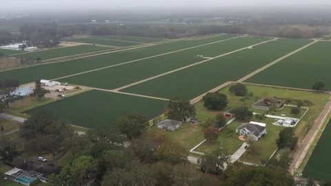 Strawberry Fields being Harvested from the air 動画素材 101189260
