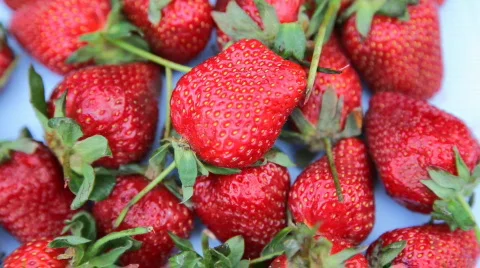 Strawberry 스톡 동영상 722777