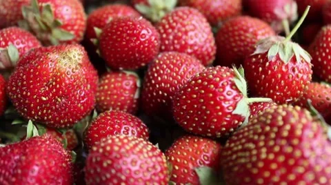 Strawberry Stock Footage 8568064