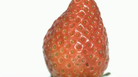 Strawberry Stock Footage 12015232