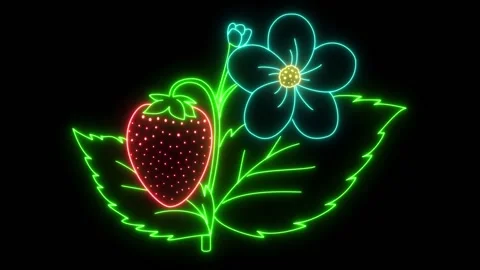 Strawberry Stock Footage 131535632