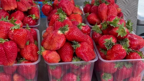 Strawberry Stock Footage 276411696