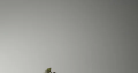 Strawberry fruit back lighting 스톡 동영상 127401389