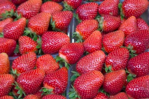 Strawberry Fruit Background Stock Photos