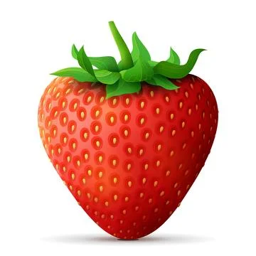 Strawberry fruit close up Stock Illustration