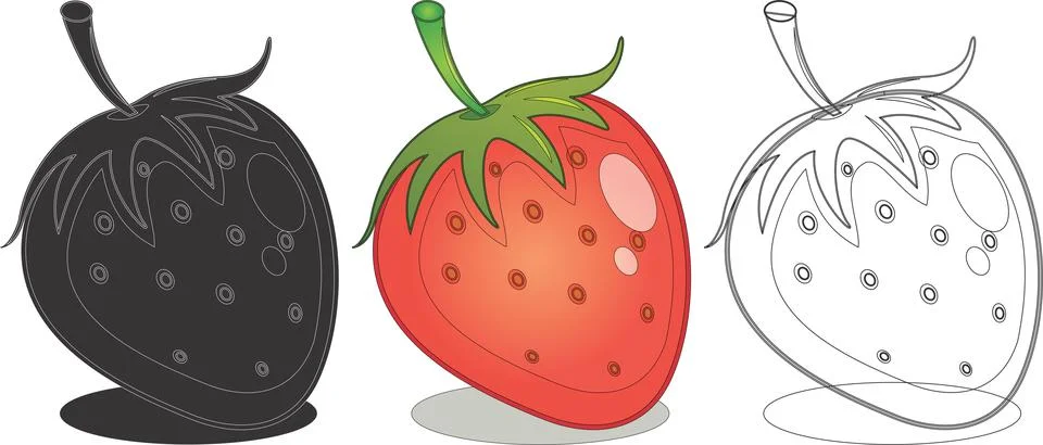 Strawberry fruit design illustration Vector Stock Illustration