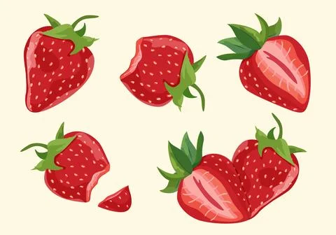 Strawberry Fruit Stock Illustration