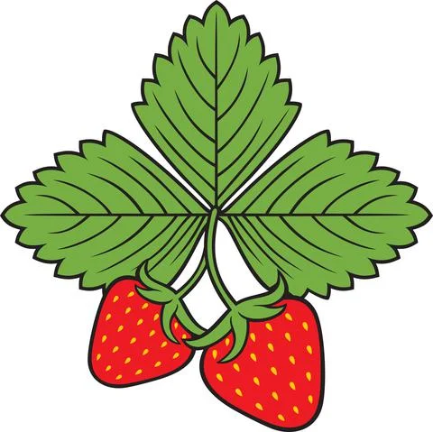Strawberry fruit with leaf Stock Illustration