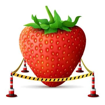 Strawberry fruit located in restricted area Stock Illustration