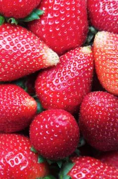 Strawberry Fruit Stock Photos