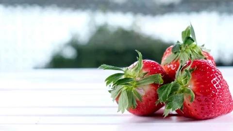 Strawberry Fruits Stock Footage 85077384