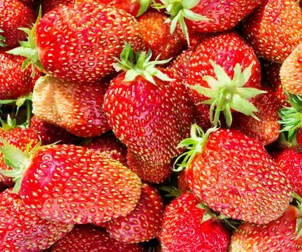 Strawberry - full frame Stock Photos