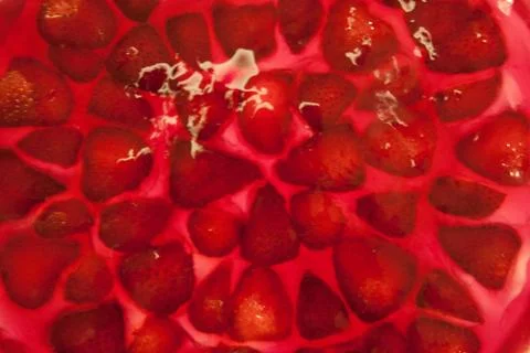 Strawberry gelatine Stock Photos