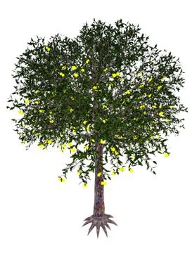 Strawberry guava tree - 3D render Illustrazione stock