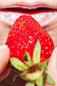 Strawberry in hand close-up Stock Photos