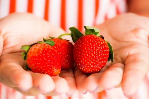 Strawberry on hand Stock Photos