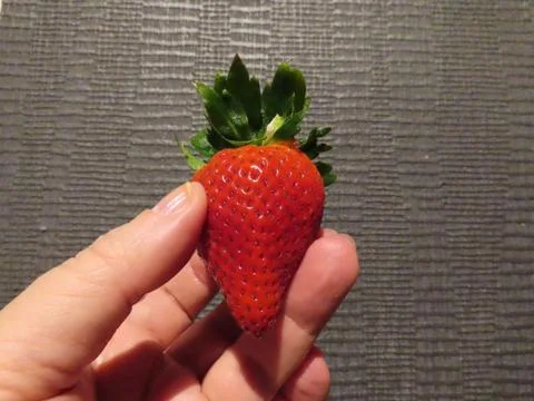 Strawberry in hand Stock Photos
