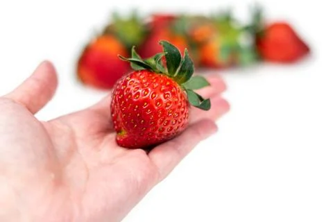 Strawberry in hand on a white background isolate. Juicy Red Strawberry Stock Photos