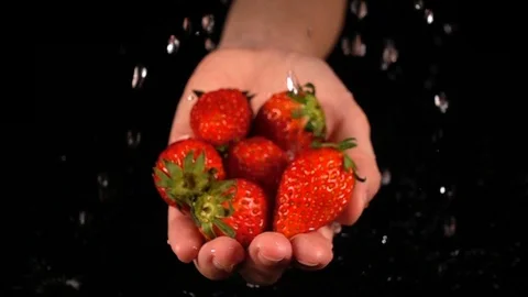 Strawberry in hands with water drop 库存影片 88615785