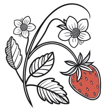 Strawberry Icon Line Art Vector on White Background, Healthy Food Stock Illustration