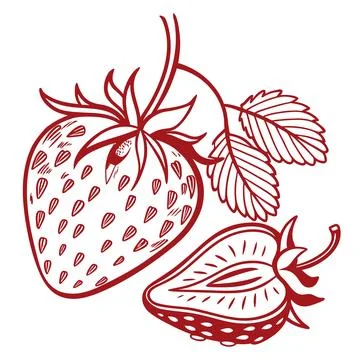 Strawberry Icon Line Art Vector on White Background, Fresh Produce Stock Illustration