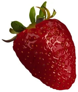 Strawberry Illustrazione stock