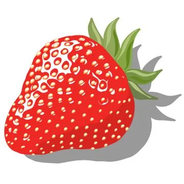 Strawberry Stock-Illustration