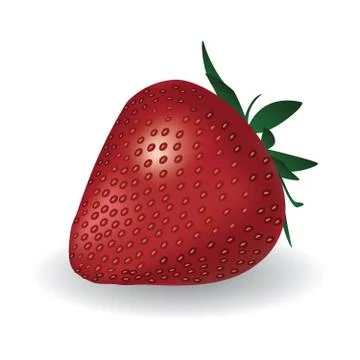 Strawberry Stock Illustration